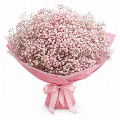 Гипсофила розовая