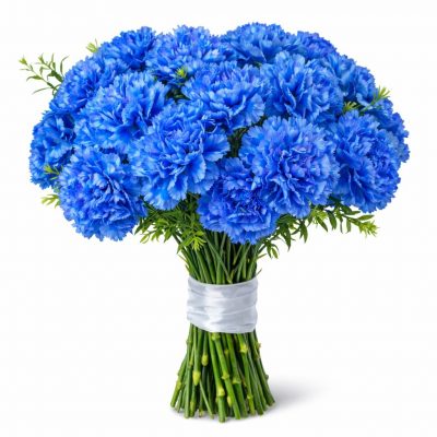 Гвоздика синяя