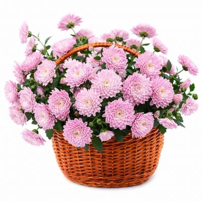 Корзина с цветами «Алмазная роса»