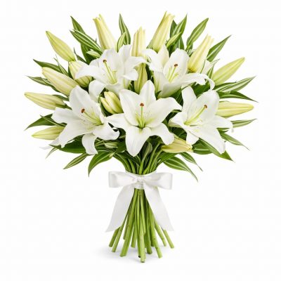 Лилия белая