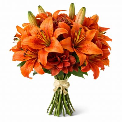 Лилия тигровая