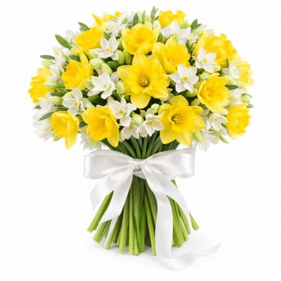 Нарцисс микс 1