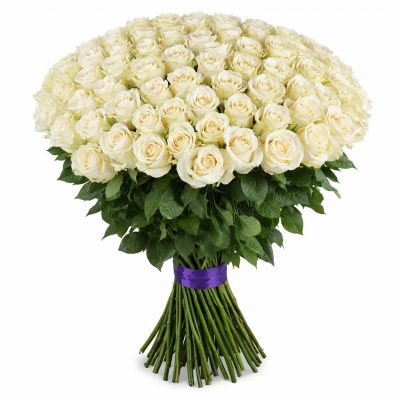 Розы Эквадор белые