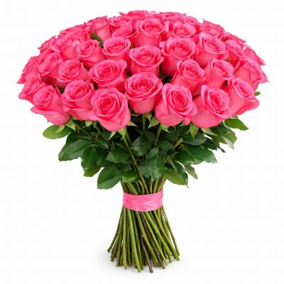 Розы Эквадор Pink Floyd