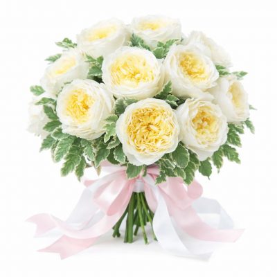 Розы Пионовидные одноголовые белые