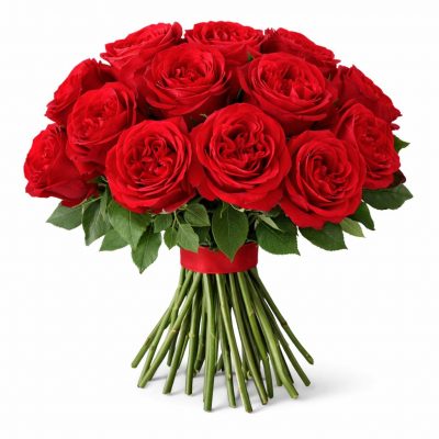 Розы Пионовидные одноголовые красные