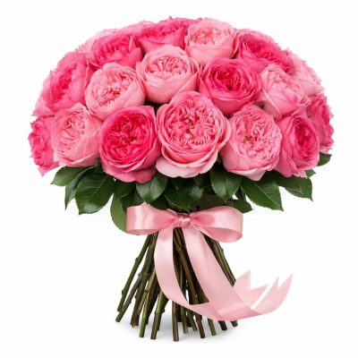 Розы Пионовидные одноголовые розовые