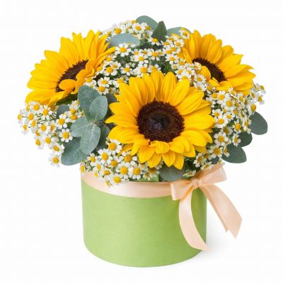 Цветы в коробке «Солнечный день»