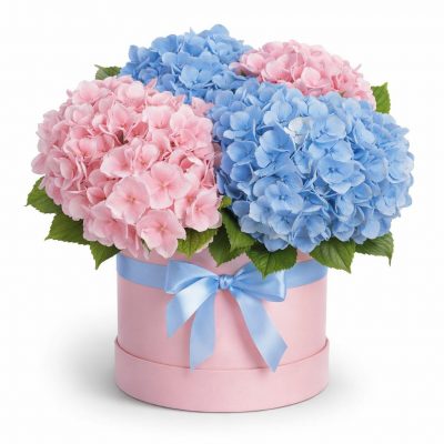 Цветы в коробке «Цветочный бульвар»